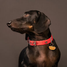 Placas Identificativas