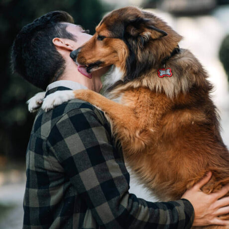 La placa Hushtag Plus: tu aliada en caso de pérdida Imagina esta situación: tu mascota se ha perdido y está lejos de casa. Pero no te preocupes, ¡la placa Hushtag Plus está ahí para ayudar! Gracias a su sistema de identificación doble, cualquier persona que encuentre a tu mascota podrá contactarte de inmediato, ya sea escaneando el código QR o leyendo el grabado. ¡Volveréis a estar juntos en un abrir y cerrar de ojos!
